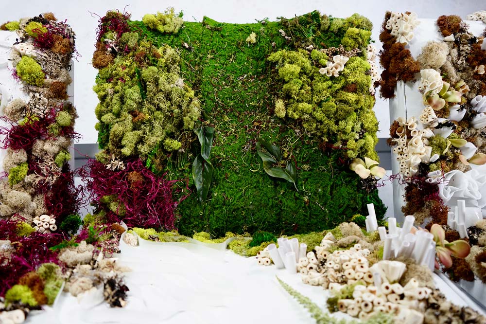 instrument collaboration